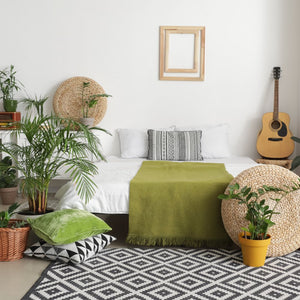 Tendencias para Plantas de Interiores en 2023