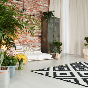Tips para Decorar con Plantas de Interiores