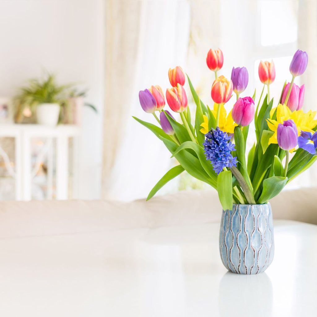 Tips para Cuidar tus Tulipanes en Florero