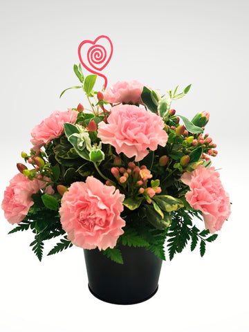 Romántico arreglo floral compuesto por delicados claveles en tonos rosa, ideal para enviar una muestra de amor sincero.  ENVÍO GRATIS!  ESPECIFICACIONES DEL ARREGLO:  Follaje Cubeta de lámina color negro Incluye dedicatoria Altura promedio del arreglo: 30 - 35 cm