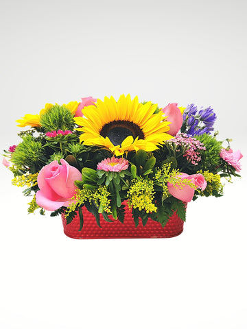 Colorido arreglo floral compuesto por girasoles, rosas, margaritas y en una increíble base metálica ovalada, color rojo. Si desea enviar una sorpresa a tu persona especial, esta es la opción indicada!. Base metálica de forma ovalada color rojo brillante, Incluye mensaje impreso, Altura promedio del arreglo: 30 cm