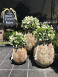 Buscas un diseño floral específico alineado al tema de tu evento?  Necesitas un tipo de flor, color o tamaño en particular? Ya sea que requieras la ambientación completa de tu evento o solo 1 arreglo floral, lo haremos para ti!    Contáctanos y nuestros planners de eventos te harán las mejores recomendaciones para transformar tu evento Entregas express, diseños originales y personalizados Presupuestos GRATIS!