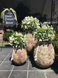 Buscas un diseño floral específico alineado al tema de tu evento?  Necesitas un tipo de flor, color o tamaño en particular? Ya sea que requieras la ambientación completa de tu evento o solo 1 arreglo floral, lo haremos para ti!    Contáctanos y nuestros planners de eventos te harán las mejores recomendaciones para transformar tu evento Entregas express, diseños originales y personalizados Presupuestos GRATIS!