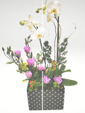 Demuestra tú cariño con este Hermoso Arreglo Floral de Orquídea color Blanco símbolo de sofisticación y de pureza. Arreglo de Orquídeas blancas con follaje verde en base metálica Negra de Puntos. El tamaño de la Orquídea puede variar según la disponibilidad en el momento del año. Incluye tarjeta para mensaje.