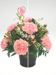 Romántico arreglo floral compuesto por delicados claveles en tonos rosa, ideal para enviar una muestra de amor sincero.  ENVÍO GRATIS!  ESPECIFICACIONES DEL ARREGLO:  Follaje Cubeta de lámina color negro Incluye dedicatoria Altura promedio del arreglo: 30 - 35 cm