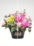 DESCRIPCIÓN: Regala estilo y delicadeza a esa persona tan especial a en tu vida ... Mamá quedará impactada con tu buen gusto porque este arreglo es la perfecta combinación de belleza y colores!  ESPECIFICACIONES DEL ARREGLO:  Arreglo de doble vista diseñado con hortensias, rosas tono pastel, margaritas y en base tipo canasta elaborada con metal color negro brillante con letrero en idioma Inglés “Best Mom Ever” El tono de las flores puede variar de acuerdo a la disponibilidad. Altura final promedio: 40 cms