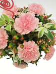 Romántico arreglo floral compuesto por delicados claveles en tonos rosa, ideal para enviar una muestra de amor sincero.  ENVÍO GRATIS!  ESPECIFICACIONES DEL ARREGLO:  Follaje Cubeta de lámina color negro Incluye dedicatoria Altura promedio del arreglo: 30 - 35 cm