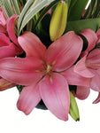 Nuestro orgullo! .... Arreglo floral de tulipanes rosas y lilis rosas que dejará sin palabras y causará una enorme emoción a quien lo practicó!. Especificaciones del Arreglo: Follaje, Esfera de cristal color negro, Mensaje impreso, Altura promedio del arreglo: 70 cm