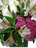 Delicado arreglo floral compuesto por delicadas rosas blancas, lirios y boca de dragón, con toques de follaje en color rosa para dar un efecto de delicadeza y elegancia. Recomendado para enviar un mensaje de sinceridad y amistad!. Especificaciones del Arreglo: Follaje. Cilindro de cristal. Mensaje impreso. Altura promedio del arreglo: 40 - 45 cm.