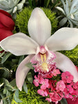 Un arreglo con un original e inesperado diseño floral, será la sorpresa perfecta para el Día de San Valentín!  ENVÍO GRATIS:  ESPECIFICACIONES DEL ARREGLO:  Arreglo en forma rectangular compuesto por rosas en intenso color rojo, originales suculentas, un discreto detalle de follaje en forma de corazón y el toque súper elegante de una increíble orquídea cultivada! Base rectangular color roja Incluye tarjeta para dedicatoria Altura aproximada  35 cms