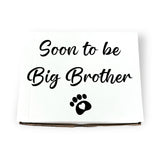 Set Soon to be Big Brother
