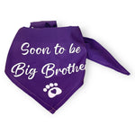 Set Soon to be Big Brother