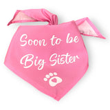 Set Soon to be Big Sister