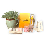 Set Inspire