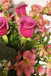 Rosas Marchena
